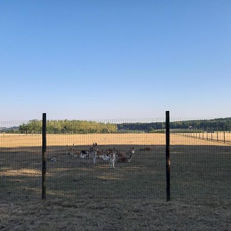 Lemen Huis Houwaart Tielt-Winge Exterior photo